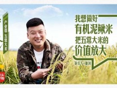 90后五常人董剑回乡创业：我也是家乡人，不能看着家乡米卖不出去