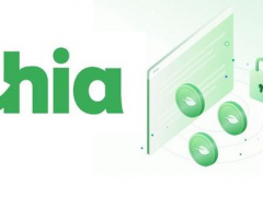 火了解答Chia(奇亚)的一些常见问题