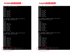 Impala打开分布式技术的大门 天云数据Hubble数据库赶超
