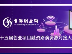 青年创业网第十五届创业项目融资路演资源对接大会