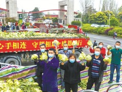 画里有话丨团结一心守好民生保障线