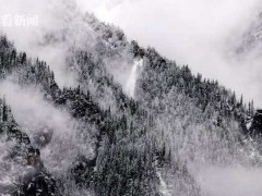 视频｜春雪忽来 水墨九寨