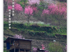 2022年4月1日，一起早读云南！