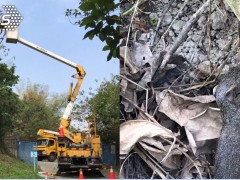 台电称高雄停电是小松鼠干的 岛内网友讽：下次是老鼠