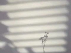 清明假期湖南各地放晴 气温回升至20℃以上