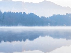 清明假期来临！四川疾控发布8点提示