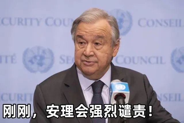 RT报道截图