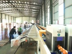 寻乌脐橙“进城之路”