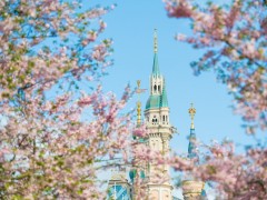 暂停门票预定！上海迪士尼度假区恢复运营时间待定