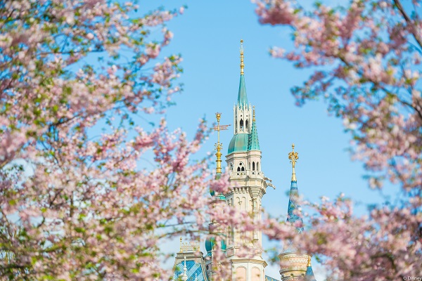 图说：上海迪士尼度假区将暂停所有票务销售和酒店预定 采访对象供图