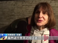 担忧能源前景 德国民众囤积越冬木柴