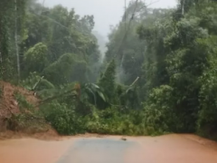 巴西里约州暴雨已致15人死亡 政府成立临时应急办公室