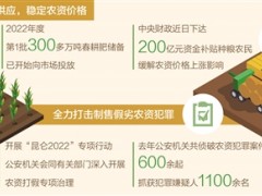 农资市场里的一天（经济新方位·春耕一线）
