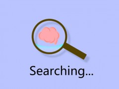高端seo推广之seo优化算法大揭秘