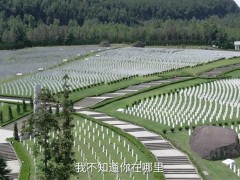 视频｜最闪亮的坐标丨我要找到你