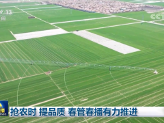 抢农时 提品质 春管春播有力推进