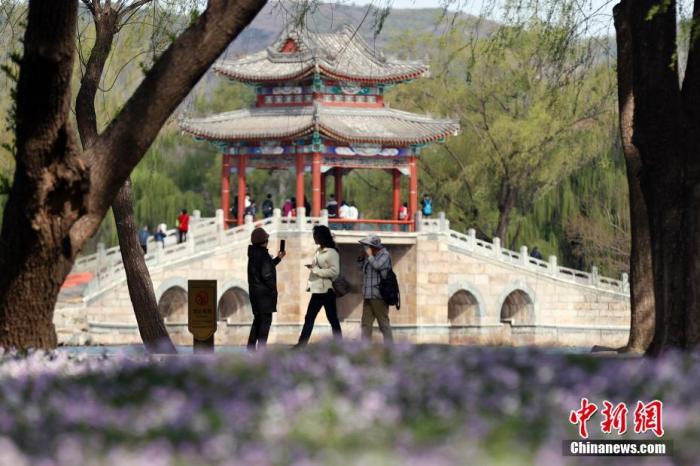 资料图：市民在北京颐和园游览，踏青赏花。 中新社记者 盛佳鹏 摄