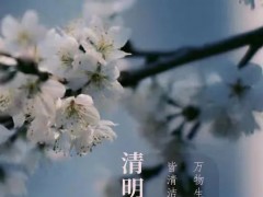万物生长此时，皆清洁而明净，故谓之清明。