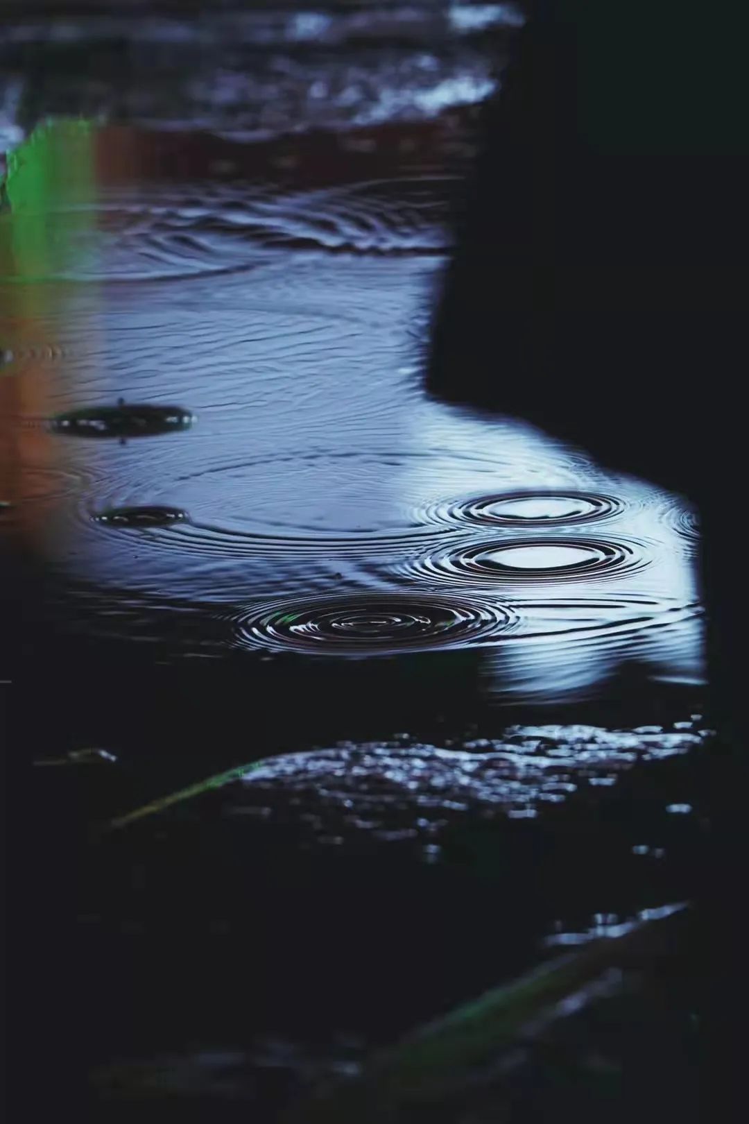 雨点在路边积水中打出的波纹。张炬 摄