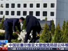23年了我们没有忘！中国驻塞尔维亚大使馆凭吊北约轰炸中牺牲烈士
