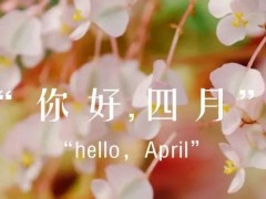 清明节 | 今天，让我们一同为英烈献花