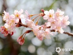 节后首日我国大部晴朗升温 冷空气“穿插”影响华北东北