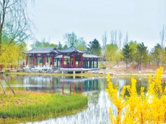 首都城南森林屏障基本形成 大兴区打造绿色南中轴串联多个公园
