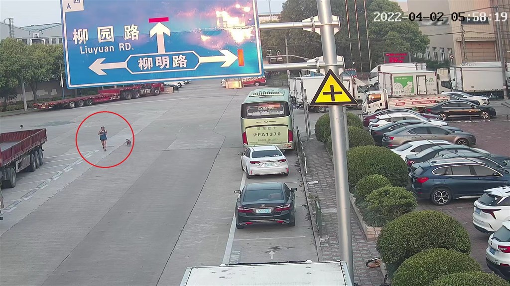 普陀警方供图