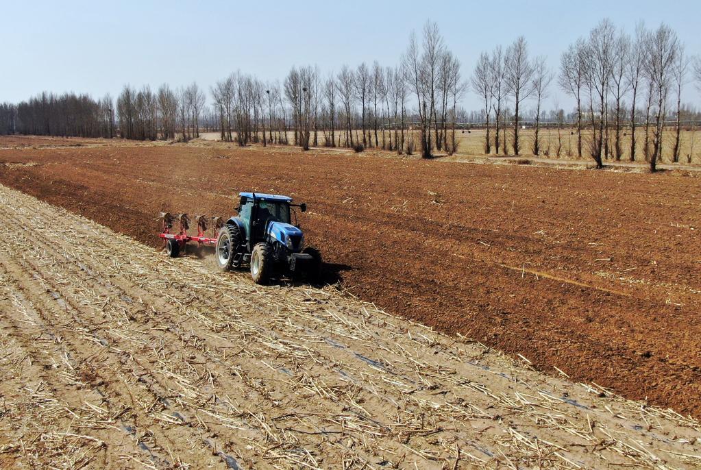 　　内蒙古达拉特旗吉格斯太镇蛇肯点素村农民春耕。（受访单位供图）