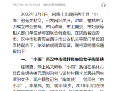 陕西榆林通报佳县“小雨”事件调查处理情况