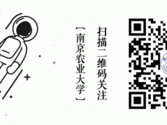 “低风险”并不等于风险等级降低！