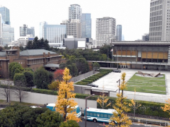 日本暂不禁止进口俄罗斯煤炭 称担心导致价格上涨
