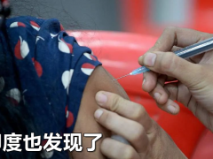 “俄罗斯，退货”