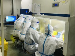 广东援沪核酸检测队工作中