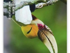 2022年4月8日，一起早读云南！