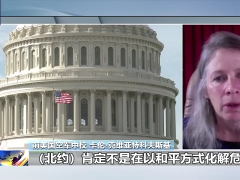 美国前军方人士：西方不想和平解决乌克兰危机