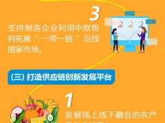 到2025年，河南现代商贸流通中心地位初步确立！