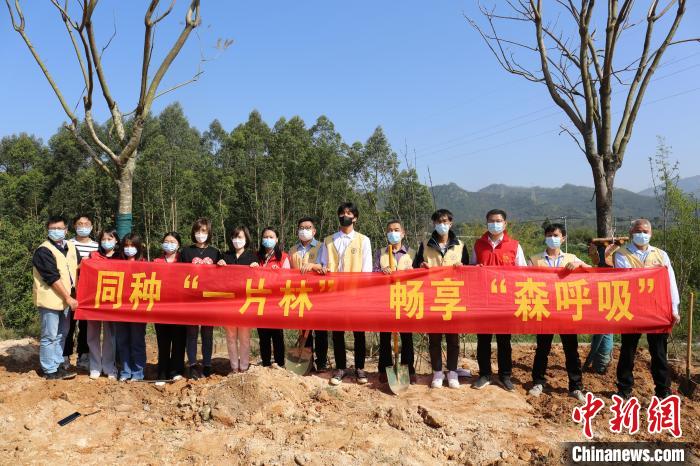 漳台两地青年参加植绿护绿活动现场。 共青团漳州市委供图