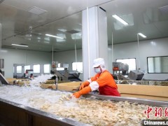 吉林延吉有序恢复生产生活 将开放商超、市场等经营场所