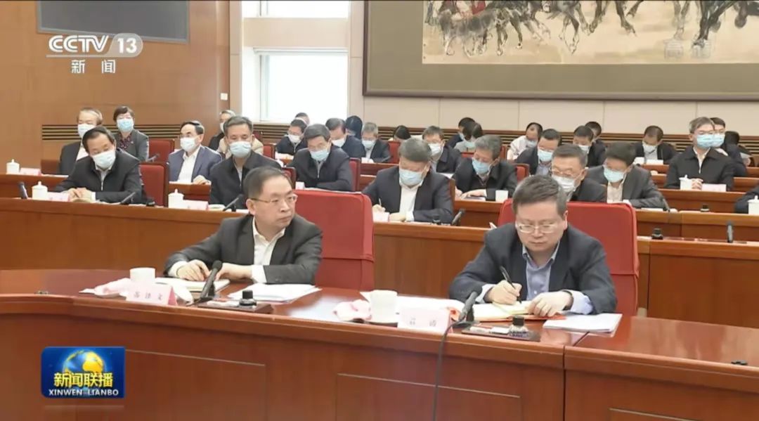 ▲专家和企业家座谈会 视频截图