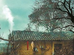 老屋与外婆