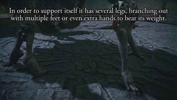 《老头环》接肢贵族近距离观察 清秀俊脸,恐怖身躯