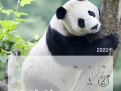 五一放假调休共5天，还能跨省出行吗？