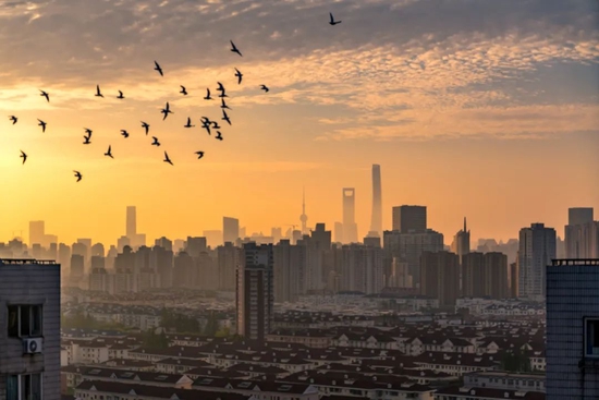 2022年4月10日，上海的清晨。视觉中国供图