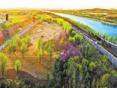 水毁工程咋修复——“我们这样落实省委一号文件”系列报道之二