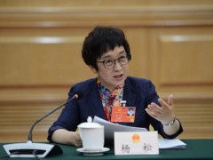 杨松：规范网络直播行业税收规则