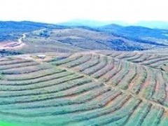 【奋进新征程 建功新时代】流失区成为绿色“聚宝盆”！云南构建水土流失防治体系推进综合治理