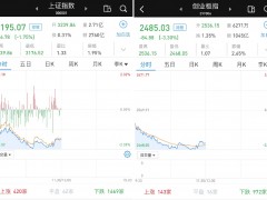 低开低走：沪指跌1.75% 创指跌3.3% 3793家跌