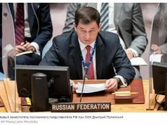 俄外交官：不可能将俄罗斯排除在安理会之外，除非联合国不复存在