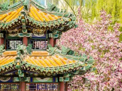世界大学学科排名揭晓！北京交大这8个学科入围！